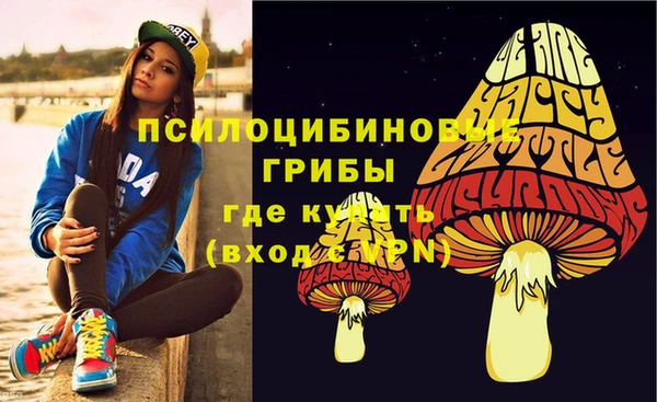 бошки Алзамай