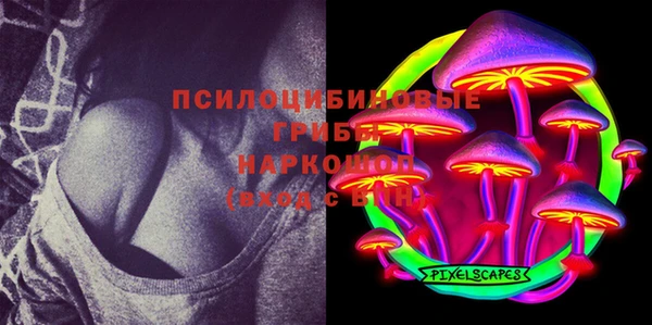 ECSTASY Алексин