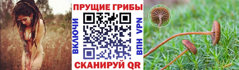 даркнет сайт  Туринск  Псилоцибиновые грибы мухоморы 